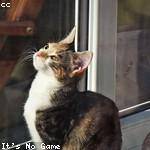 Foster Lebsack Profile Picture