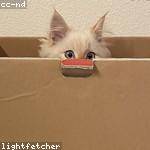 Destiny Rolfson Profile Picture