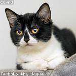 Berneice Schoen Profile Picture