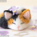 @awiegand_119 Profile Picture