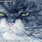 Anabel Dooley Profile Picture
